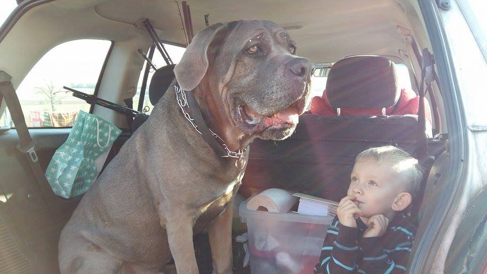 Muszu wraca do rodziny!!!